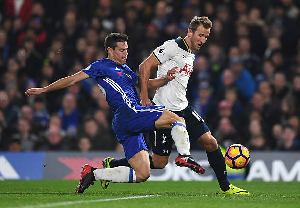 球隊內部資 球隊內部資